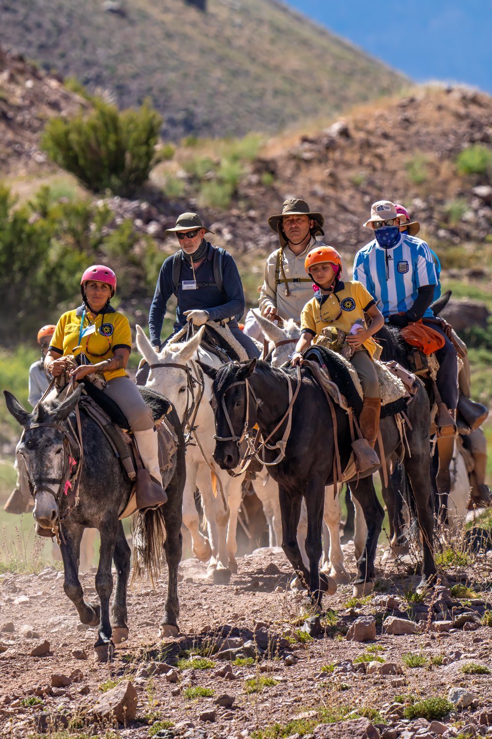 Paisaje de Paso de Comecaballos en la cordillera de los Andes