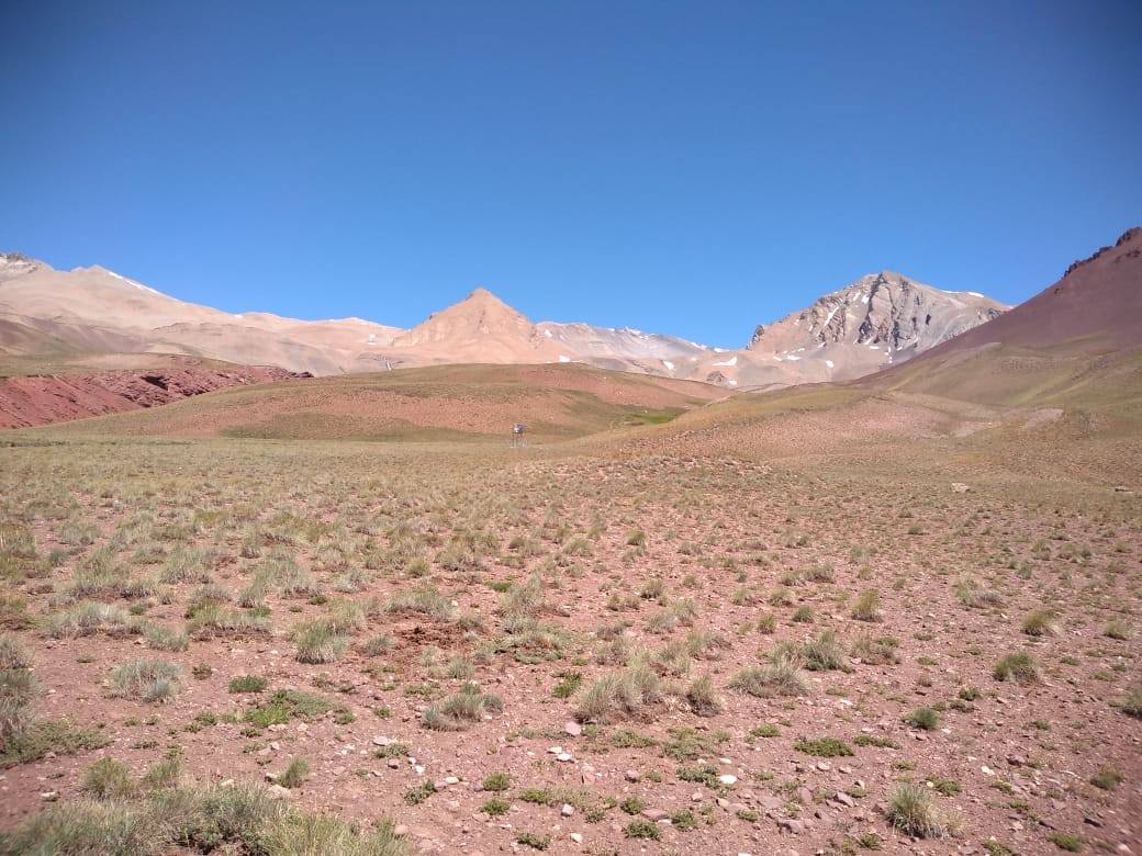Valle verde con montañas nevadas