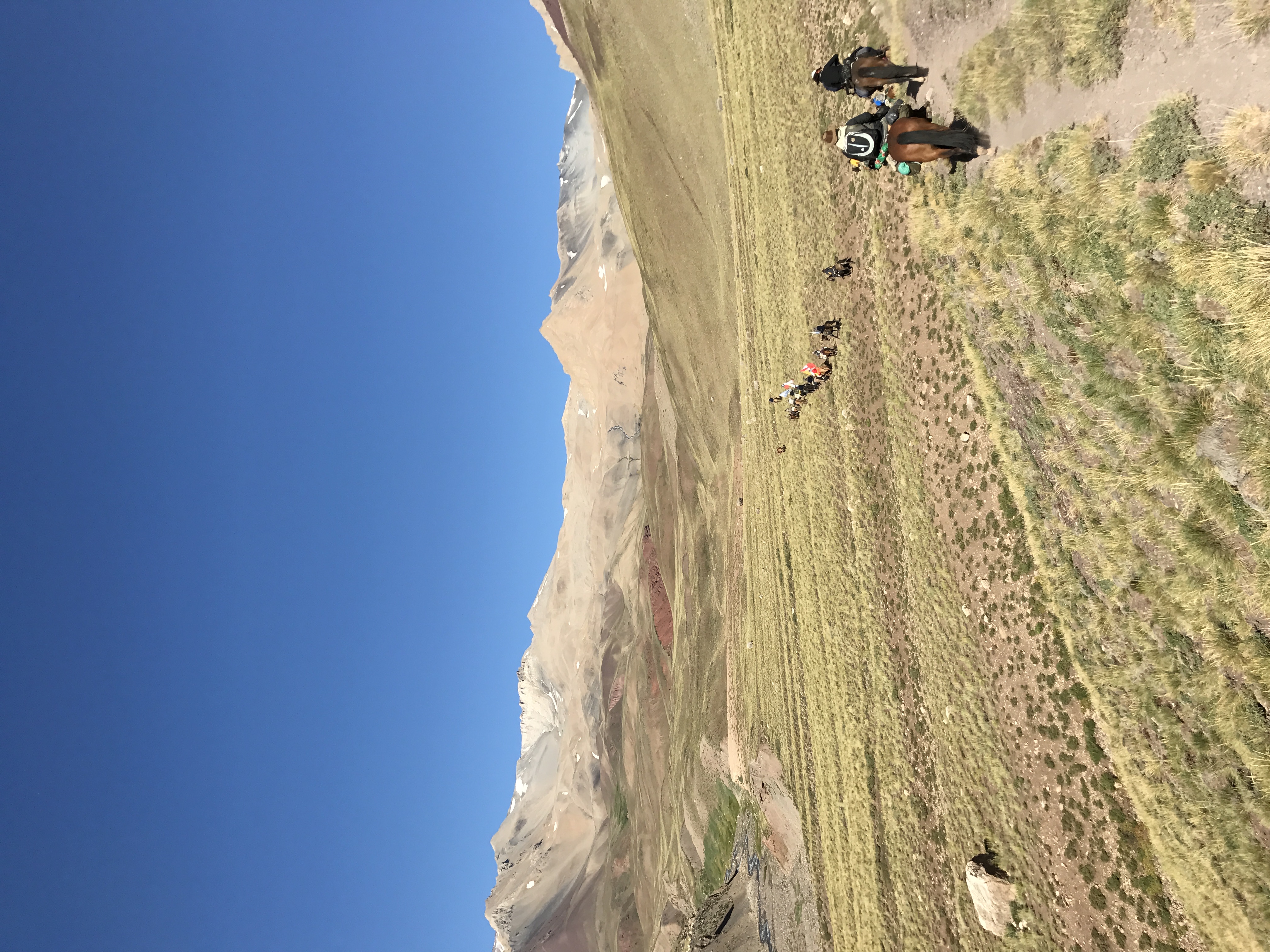 Vista de la expedición con montañas nevadas de fondo